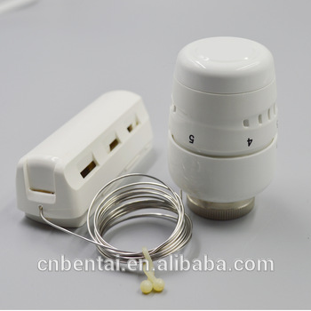 EN215 20 60 remote temperature probe