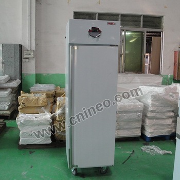 Small Double Door Commercial Upright Freezer/Ice Cream Deep freezer/Cooler Freezer