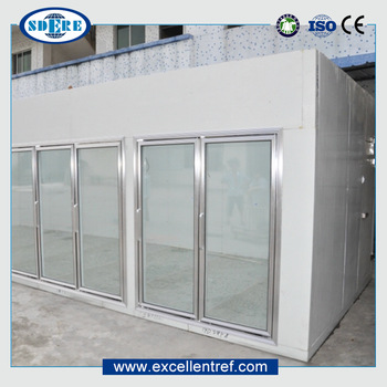 New design low price air blast freezer/freezer van