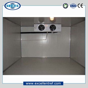 cold room/blast freezer for vegetable and frozen food storage
