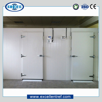 Energy Saving Cold Storage Room for Frozen Fish/Meat