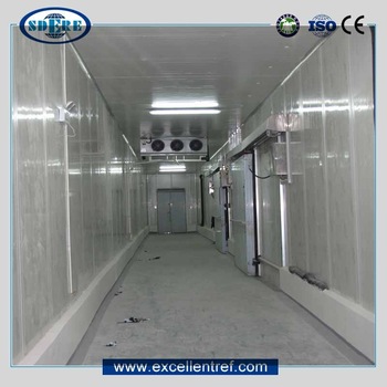 High Quality Cold Store Commerical Freezer Room for Fish and Meat