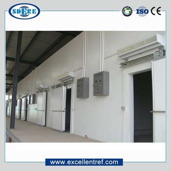High Quality Freezer Cold Store Room for Fish and Meat
