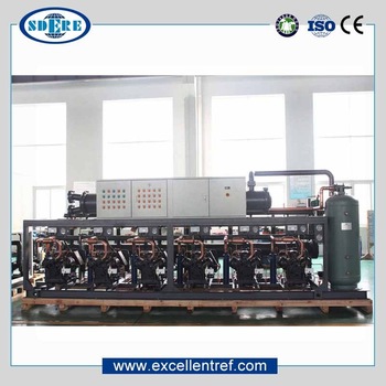 Energy Efficient Refrigeration Equipment Bitzer Compressor Condenser Unit for Cold Storage Room