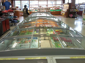 DID2515O1 Horizontal Deep Freezer for Seafood In Supermarket