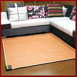 <font color='red'>Heated</font> <font color='red'>floor</font> carpet