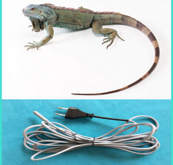 Pet products 7 5m reptile heating cable