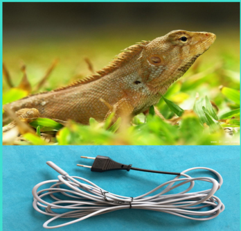 Far infrared Pet products 12M reptile heating cable