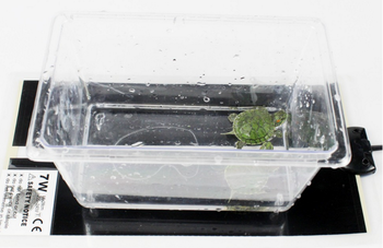 Transparent heat mat of aquarium heater choose switch