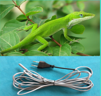 <font color='red'>Hot</font> selling <font color='red'>hot</font> <font color='red'>sale</font> reptile heat cable with low <font color='red'>price</font>