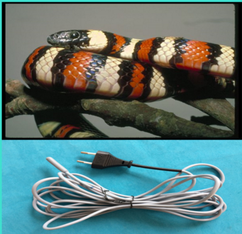 Hot selling hot sale reptile heat cable with low price
