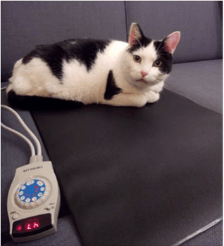 Waterproof Cover With Far Infrared Pet Pad 60*40cm US 40W with US plug