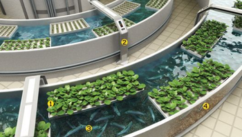 Waterproof PVC seedling heat mat 40 60cm 40w