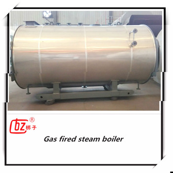 High efficiency steam boiler multi fuel fired boiler for sale