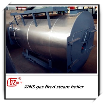 China factory directly supply gas fired steam boiler for food industry