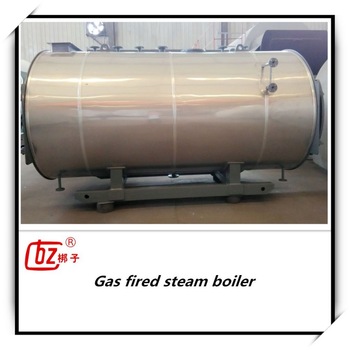 China factory directly supply gas fired steam boiler for food industry