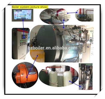 10 ton competitive industrial boiler price steam boiler for plastic industry