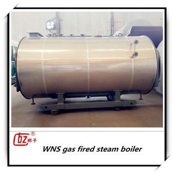 10 ton environmental friendly gas fired steam boiler for wood industry