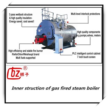 Best price dual fuel fired steam boiler for food industry