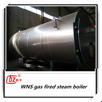 WNS China oil portable steam boiler for pharmaceutical industry