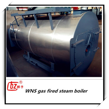 WNS China oil portable steam boiler for pharmaceutical industry