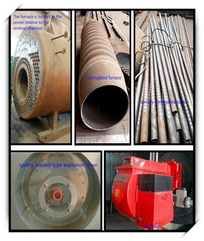 Low consumption LPG fired steam boiler
