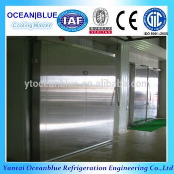 Automatic <font color='red'>stainless</font> <font color='red'>steel</font> color <font color='red'>steel</font> <font color='red'>sliding</font> <font color='red'>door</font> in cool room