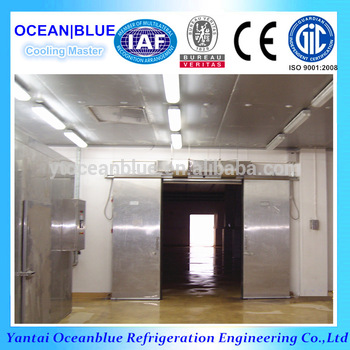 Automatic stainless steel color steel sliding door in cool room