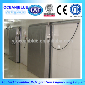 hot sale meat and fish frozen cold room sliding doors