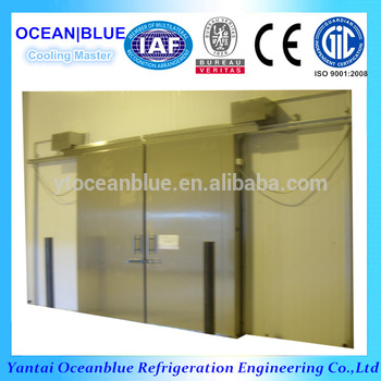 High quality China OEM deep freezer stainless steel insulated doors