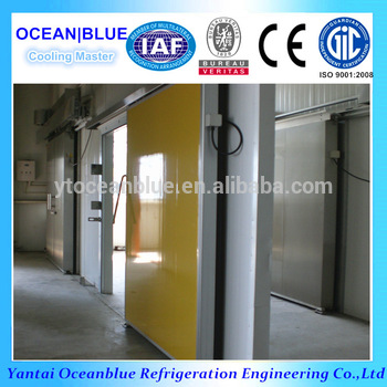 Cold storage room painted steel sliding door