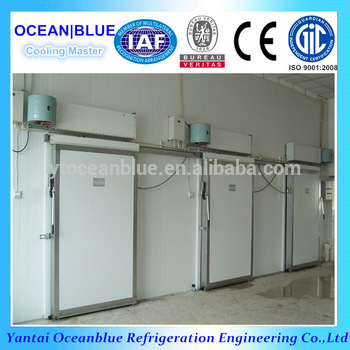 Cold storage room painted steel sliding door