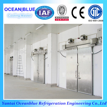 Cheap price customized special freezer room door