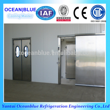 top quality stainless steel double leaf swing door