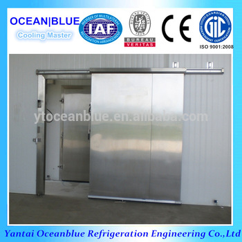 Cold room stainless steel refrigerator doors