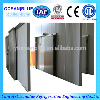 Cold room stainless steel refrigerator doors