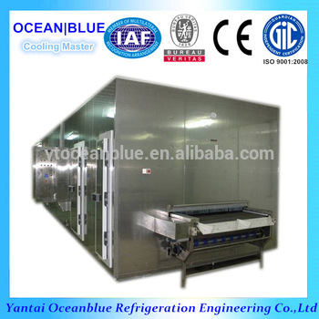 China IQF Tunnel Blast Freezer