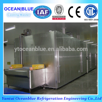 China IQF Tunnel Blast Freezer