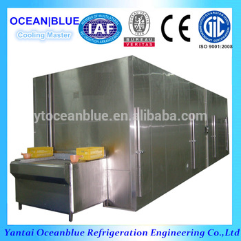 Belt Tunnel IQF Freezer