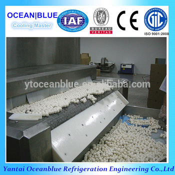 Tunnel Freezer Mesh Belt for Dumplings