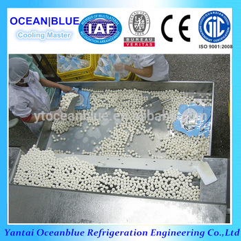 China High Quality Blast IQF Freezer Supplier