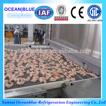 IQF Shrimp Quick Tunnel Freezer Industrial Freezer Blast Tunnel Freezer