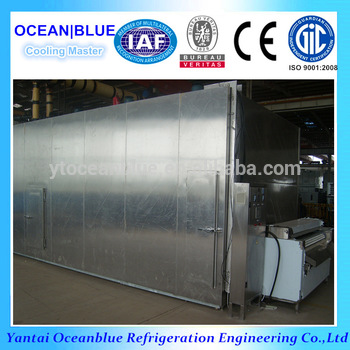 IQF Fluidization fruit quick freezer with IQF machine