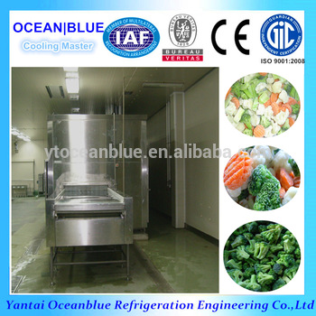 IQF Fluidization fruit quick freezer with IQF machine