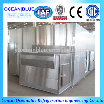 CE Certification Stainless Steel 35 Degree IQF Tunnel Freezer