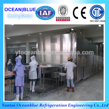 CE Certification Stainless Steel 35 Degree IQF Tunnel Freezer