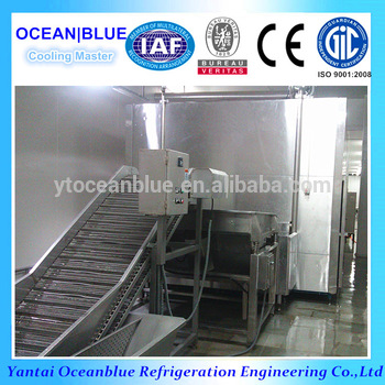 500kg h Food Quick Freezing Machine Type Industrial Freezer IQF