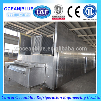 500kg h Food Quick Freezing Machine Type Industrial Freezer IQF