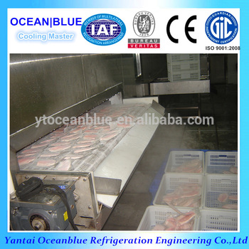 Custom Made OEM IQF Fish Flow Tpye Air Blast Freezer