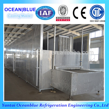 Fruit Flow Tunnel Quick Freezer China supplier